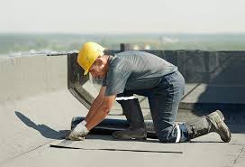 Best Skylight Installation and Repair  in Kodi Station, AK